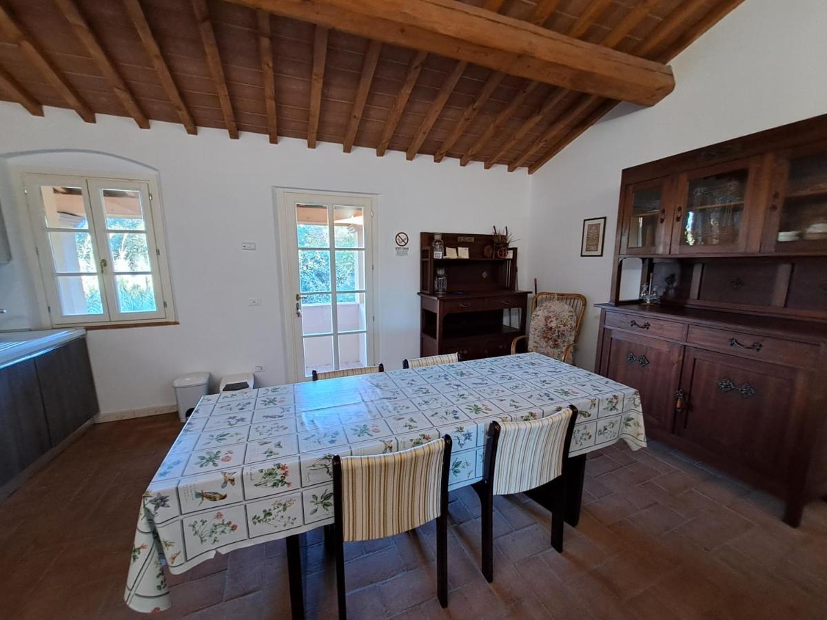 Casa Daria, Armonia Del Passato Nel Rispetto Della Natura Доноратико Экстерьер фото